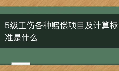 5级工伤各种赔偿项目及计算标准是什么
