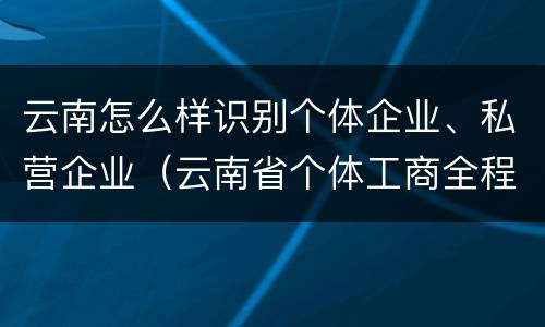 云南怎么样识别个体企业、私营企业（云南省个体工商全程电子下载app）