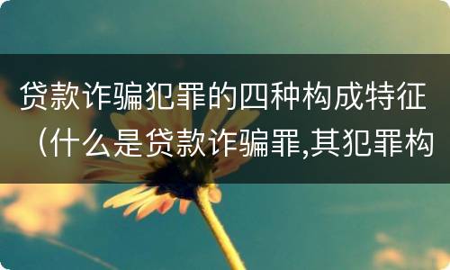 贷款诈骗犯罪的四种构成特征（什么是贷款诈骗罪,其犯罪构成是什么）