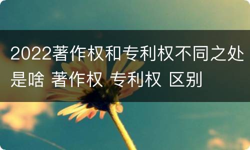 2022著作权和专利权不同之处是啥 著作权 专利权 区别