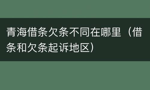 青海借条欠条不同在哪里（借条和欠条起诉地区）