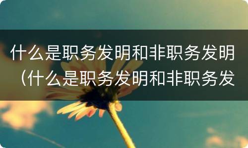 什么是职务发明和非职务发明（什么是职务发明和非职务发明的区别）