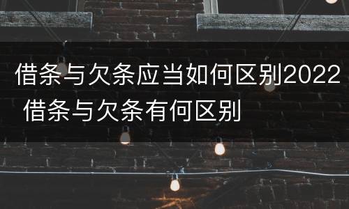 借条与欠条应当如何区别2022 借条与欠条有何区别