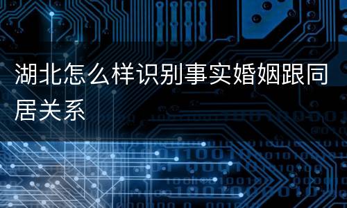 湖北怎么样识别事实婚姻跟同居关系