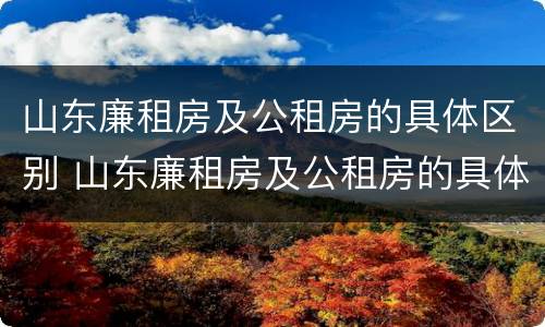 山东廉租房及公租房的具体区别 山东廉租房及公租房的具体区别是什么