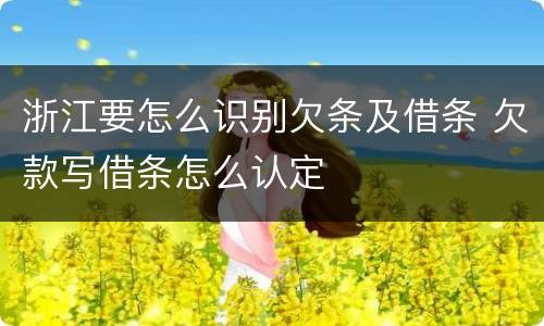 浙江要怎么识别欠条及借条 欠款写借条怎么认定