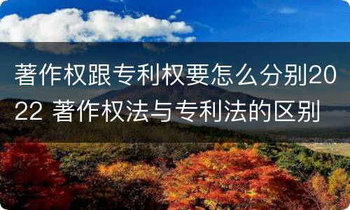著作权跟专利权要怎么分别2022 著作权法与专利法的区别