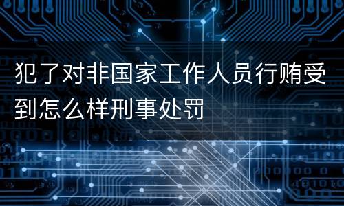 犯了对非国家工作人员行贿受到怎么样刑事处罚
