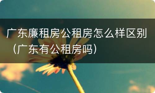 广东廉租房公租房怎么样区别(广东有公租房吗)