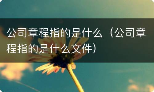 公司章程指的是什么（公司章程指的是什么文件）