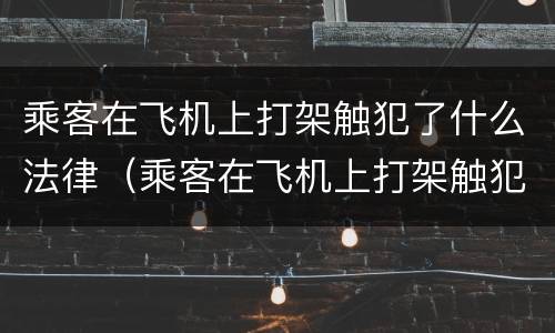 乘客在飞机上打架触犯了什么法律（乘客在飞机上打架触犯了什么法律规定）