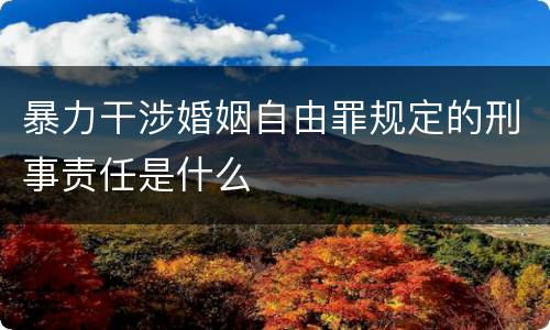 暴力干涉婚姻自由罪规定的刑事责任是什么