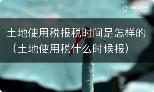 土地使用税报税时间是怎样的（土地使用税什么时候报）