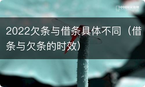 2022欠条与借条具体不同（借条与欠条的时效）