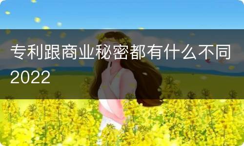 专利跟商业秘密都有什么不同2022