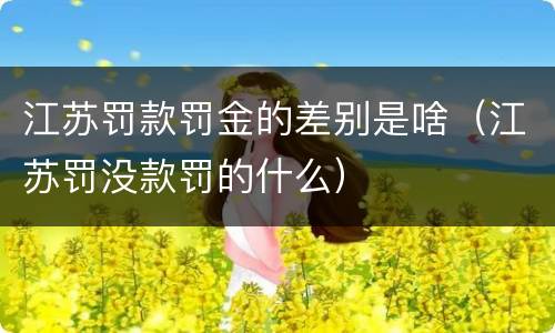 江苏罚款罚金的差别是啥（江苏罚没款罚的什么）