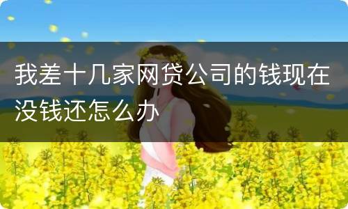 我差十几家网贷公司的钱现在没钱还怎么办