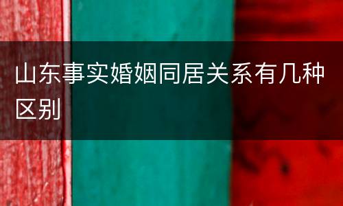 山东事实婚姻同居关系有几种区别
