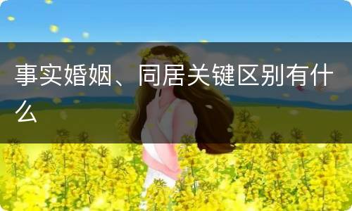 事实婚姻、同居关键区别有什么
