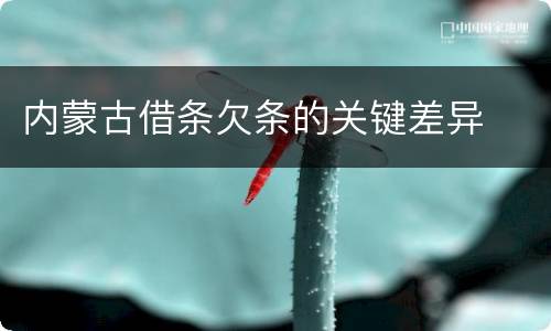 内蒙古借条欠条的关键差异