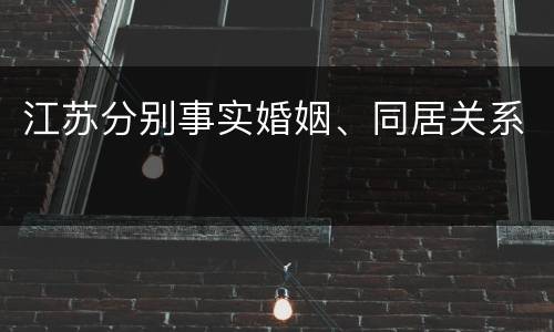 江苏分别事实婚姻、同居关系