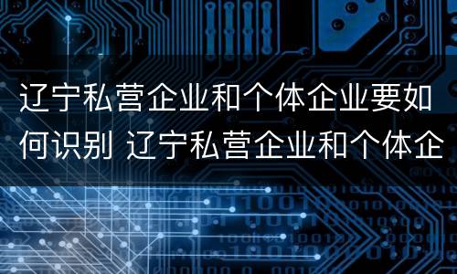 辽宁私营企业和个体企业要如何识别 辽宁私营企业和个体企业要如何识别企业