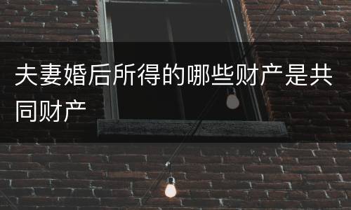 夫妻婚后所得的哪些财产是共同财产