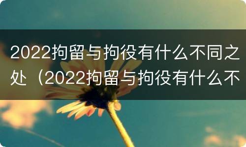 2022拘留与拘役有什么不同之处（2022拘留与拘役有什么不同之处呢）