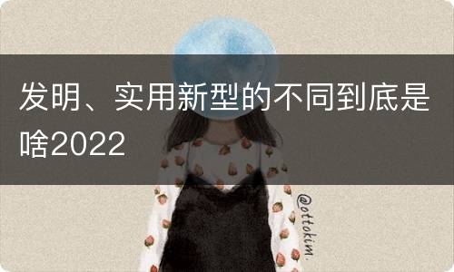发明、实用新型的不同到底是啥2022