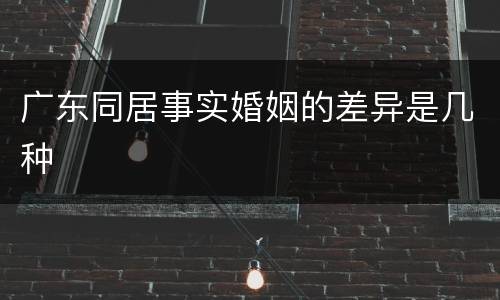 广东同居事实婚姻的差异是几种