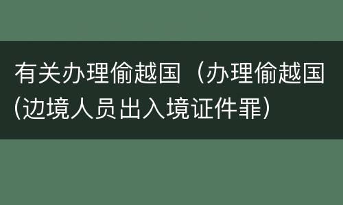 有关办理偷越国（办理偷越国(边境人员出入境证件罪）