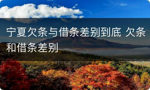 宁夏欠条与借条差别到底 欠条和借条差别
