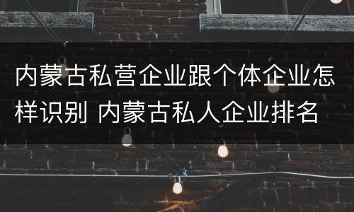 内蒙古私营企业跟个体企业怎样识别 内蒙古私人企业排名