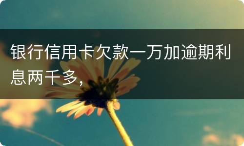 银行信用卡欠款一万加逾期利息两千多，