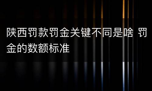 陕西罚款罚金关键不同是啥 罚金的数额标准