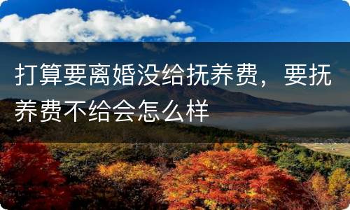 打算要离婚没给抚养费，要抚养费不给会怎么样