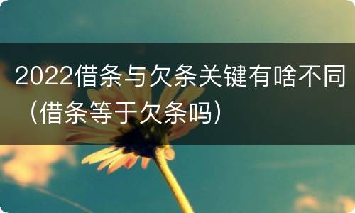 2022借条与欠条关键有啥不同（借条等于欠条吗）