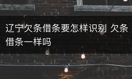 辽宁欠条借条要怎样识别 欠条借条一样吗