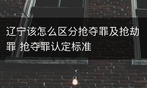 辽宁该怎么区分抢夺罪及抢劫罪 抢夺罪认定标准