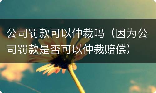 公司罚款可以仲裁吗（因为公司罚款是否可以仲裁赔偿）
