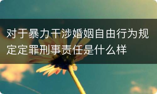 对于暴力干涉婚姻自由行为规定定罪刑事责任是什么样