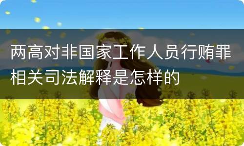 两高对非国家工作人员行贿罪相关司法解释是怎样的
