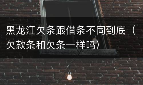 黑龙江欠条跟借条不同到底（欠款条和欠条一样吗）