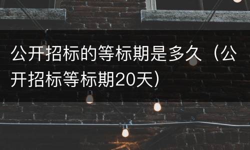 公开招标的等标期是多久（公开招标等标期20天）