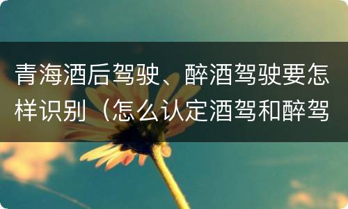 青海酒后驾驶、醉酒驾驶要怎样识别（怎么认定酒驾和醉驾）