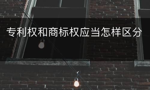 专利权和商标权应当怎样区分