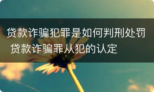 贷款诈骗犯罪是如何判刑处罚 贷款诈骗罪从犯的认定
