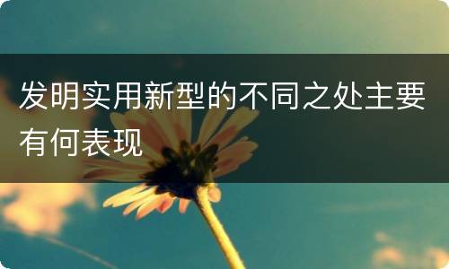发明实用新型的不同之处主要有何表现