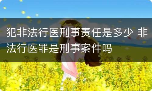 犯非法行医刑事责任是多少 非法行医罪是刑事案件吗