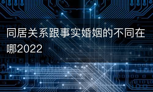 同居关系跟事实婚姻的不同在哪2022